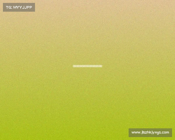 德甲联赛精彩对决全程网络直播尽享足球盛宴